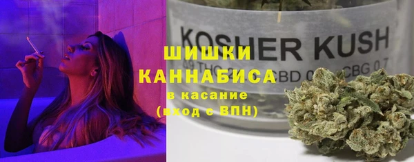 индика Волоколамск
