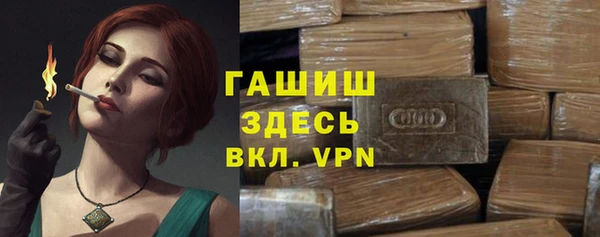 индика Волоколамск