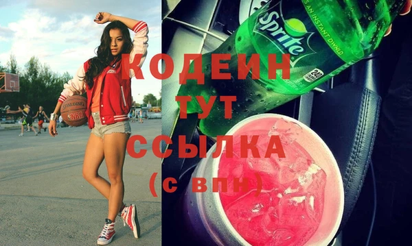 индика Волоколамск