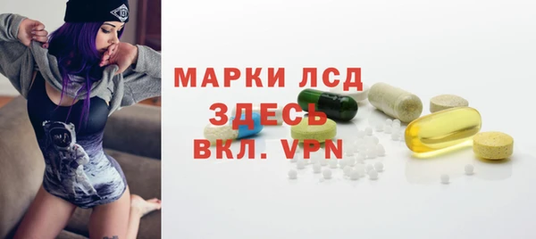 индика Волоколамск