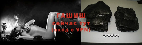 индика Волоколамск