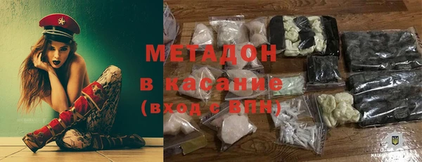 индика Волоколамск