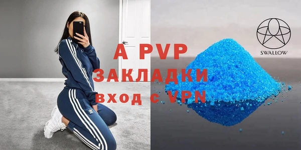 индика Волоколамск