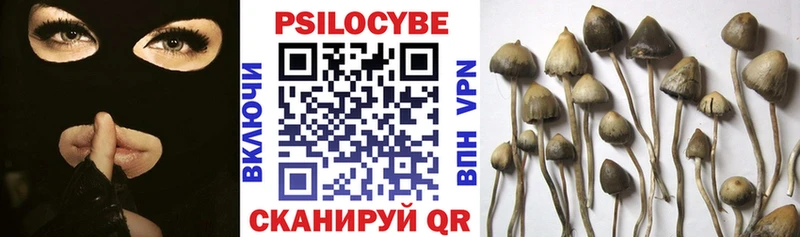 где можно купить   Пушкино  Галлюциногенные грибы GOLDEN TEACHER 